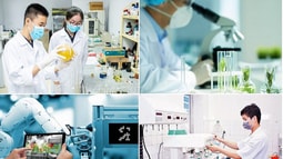 Ban hành quy định quản lý hỗ trợ hoạt động nâng cao năng lực khoa học và công nghệ