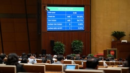 Quốc hội thông qua Luật Bảo hiểm tiền gửi (sửa đổi)