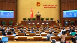 Quốc hội thông qua Luật Tiết kiệm, chống lãng phí