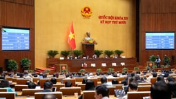 Luật Quy hoạch (sửa đổi) được Quốc hội thông qua