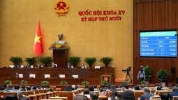 Luật An ninh mạng có hiệu lực thi hành từ ngày 01/7/2026