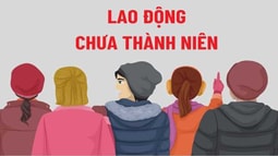 Quy định của Fv88 com Nhà Cái Fv88 về lao động chưa thành niên
