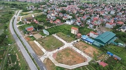 Quy định mới về xử lý vi phạm đối với người trúng đấu giá quyền sử dụng đất trong trường hợp giao đất ở