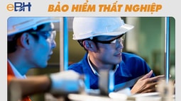 6 trường hợp được xác định là đang đóng bảo hiểm thất nghiệp