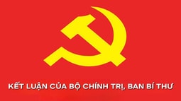 Kết luận của Ban Bí thư về xử lý các trường hợp sai phạm còn tồn tại trong công tác cán bộ