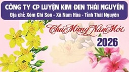 Công ty Cổ phần Luyện kim đen Thái Nguyên