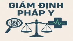 Tăng cường năng lực hệ thống giám định pháp y, pháp y tâm thần và bắt buộc chữa bệnh tâm thần giai đoạn 2026 - 2030