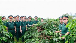 Binh đoàn 16 – Điểm tựa vững chắc trên địa bàn chiến lược Tây Nguyên, Đông Nam Bộ