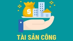 Nguyên tắc xác định số lợi bất hợp pháp và tăng mức xử phạt hành vi sử dụng, giao, tặng cho tài sản công sai quy định