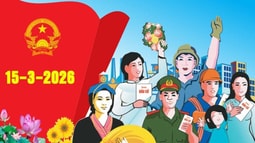 Xác nhận tư cách của người trúng cử đại biểu Quốc hội khóa XVI, đại biểu Hội đồng nhân dân nhiệm kỳ 2026 - 2031