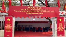 Đảng viên cao tuổi gửi trọn niềm tin trước ngày bầu cử