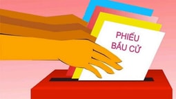 [Infographic] Nguyên tắc bỏ phiếu bầu đại biểu Quốc hội và Hội đồng nhân dân các cấp
