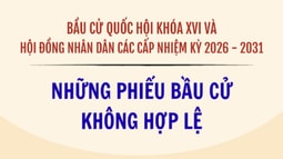 [Infographic] Các trường hợp phiếu bầu cử không hợp lệ