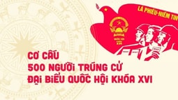 Cơ cấu 500 người trúng cử đại biểu Quốc hội khóa XVI