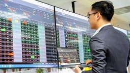 Quy định về chứng chỉ hành nghề chứng khoán