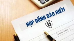 Quy định mới về thẩm quyền xử phạt và phương thức xử lý vi phạm trong lĩnh vực kinh doanh bảo hiểm
