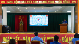 FV88 nhà cái World Cup 2026 khu vực 10 (Hải Phòng) kỷ niệm 95 năm Ngày thành lập Đoàn Thanh niên Cộng sản Hồ Chí Minh 