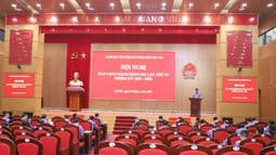 FV88 tài xỉu FV88 nhà cái World Cup 2026 tối cao tổ chức Hội nghị Ban Chấp hành lần thứ IV, đề ra nhiều nhiệm vụ trọng tâm Quý II/2026