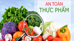 Tiếp tục áp dụng Nghị định 15/2018/NĐ-CP về an toàn thực phẩm cho đến khi có quy định mới