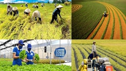 Xây dựng nông thôn mới hiện đại, giàu bản sắc, bền vững