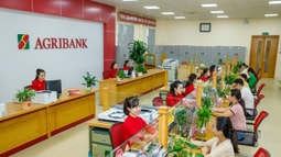 Agribank được Moody’s Ratings điều chỉnh triển vọng xếp hạng từ “Ổn định” lên “Tích cực”