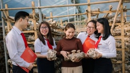 Agribank đồng hành cùng hộ kinh doanh: Kê khai thuế dễ dàng – Chuyển đổi doanh nghiệp vững vàng