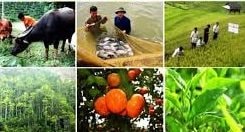 Quy định chi tiết một số điều của Luật giám định tư pháp trong lĩnh vực nông nghiệp và môi trường