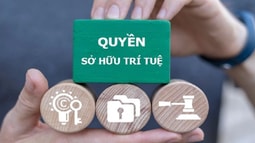 Đấu tranh, ngăn chặn, xử lý hành vi xâm phạm quyền sở hữu trí tuệ