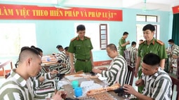 Hướng dẫn chi tiết một số điều của Luật Chuyển giao người đang chấp hành án phạt tù