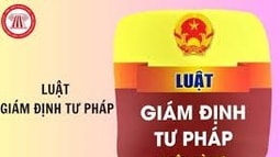 Quy định chi tiết một số điều và biện pháp thi hành Luật Giám định tư pháp