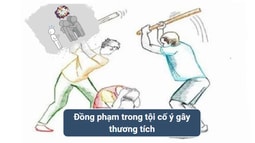 Trao đổi về xác định đồng phạm trong trường hợp tham gia truy đuổi bị hại nhưng không trực tiếp gây ra hậu quả