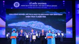 Becamex VSIP Bình Định nhận giải thưởng đổi mới sáng tạo vì phát triển bền vững