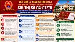 Những kết quả nổi bật trong công tác giải quyết án dân sự, hành chính, kinh doanh thương mại và lao động trên địa bàn tỉnh Gia Lai