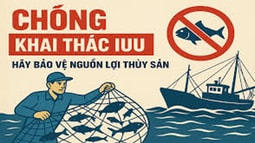 Chống khai thác hải sản bất hợp pháp, không khai báo và không theo quy định (IUU) - nhiệm vụ của cả hệ thống chính trị nhằm tháo gỡ “thẻ vàng” EC