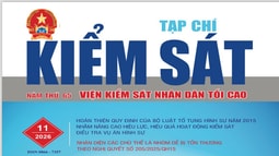 Giới thiệu Tạp chí Kiểm sát số 11/2026