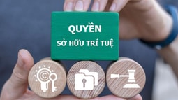 Kết luận của Bộ Chính trị về đẩy mạnh công tác sở hữu trí tuệ phục vụ phát triển kinh tế - xã hội trong tình hình mới