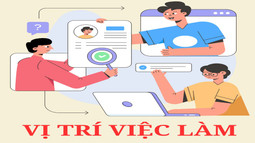 Quy định mới về vị trí việc làm viên chức