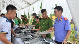 Các biện pháp hỗ trợ người chấp hành xong hình phạt tù tái hòa nhập cộng đồng
