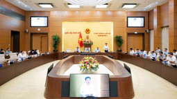 Hoàn thiện cơ chế đặc thù xử lý vi phạm pháp luật trong lĩnh vực kinh tế và đổi mới sáng tạo