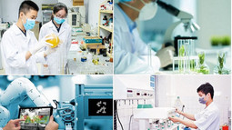 Ban hành Danh mục dịch vụ sự nghiệp công sử dụng ngân sách nhà nước trong lĩnh vực khoa học và công nghệ