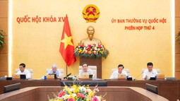 Quy định về phối hợp giám sát việc thực hiện điều ước quốc tế, thỏa thuận quốc tế