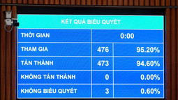 Quốc hội thông qua Nghị quyết về công tác phòng, chống tội phạm, kiểm sát, xét xử và thi hành án