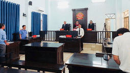 Vụ án dân sự công ích thứ hai tại TP. Hồ Chí Minh: Tòa án chấp nhận toàn bộ yêu cầu khởi kiện của VKSND khu vực 2