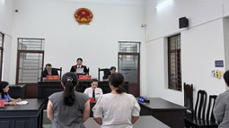 VKSND Khu vực 9, TP. Hồ Chí Minh: Khởi kiện vụ 03 doanh nghiệp nợ tiền bảo hiểm xã hội