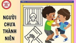 Trao đổi về xử lý chuyển hướng và tách vụ án đối với người chưa thành niên 