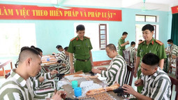 Quy định về quy trình, kỹ năng kiểm sát việc thi hành án phạt tù tại cơ sở giam giữ phạm nhân